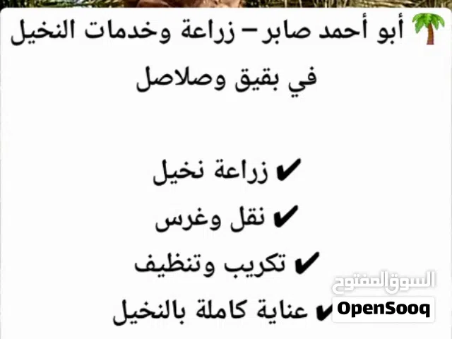 أبو أحمد للنخيل