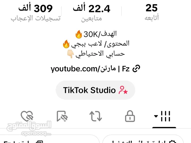 Social Media Accounts and Characters for Sale in Basra
