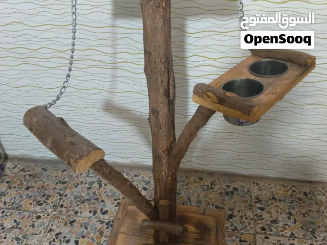 ستاند طيور