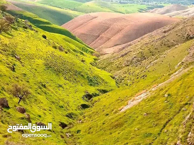 Farm Land for Sale in Irbid Other
