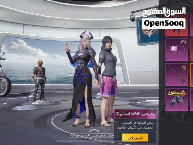 Pubg Accounts and Characters for Sale in Alexandria