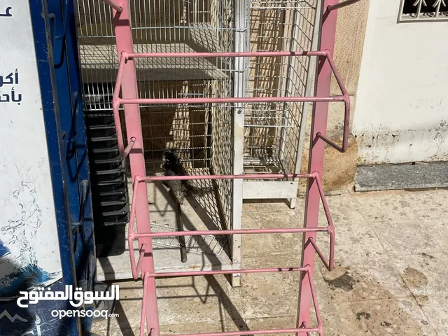 مستلزمات محل
