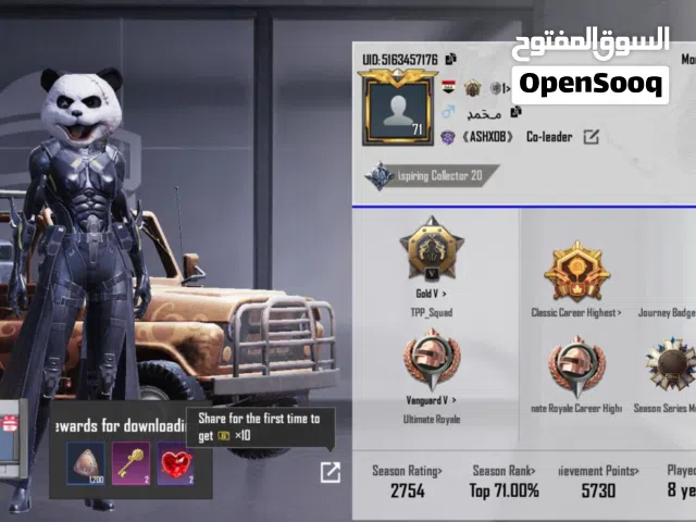 Pubg Accounts and Characters for Sale in Basra