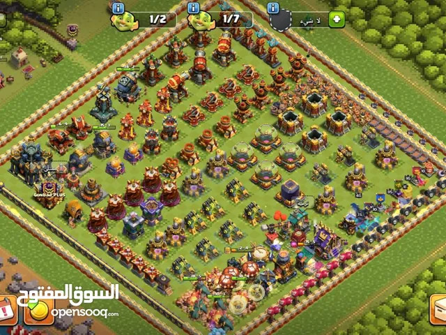 كلاش او كلانش للبيع