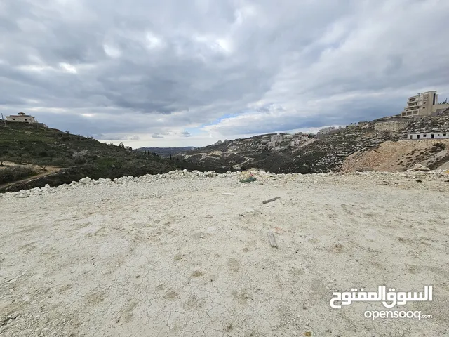 Residential Land for Sale in Nablus Beit Wazan