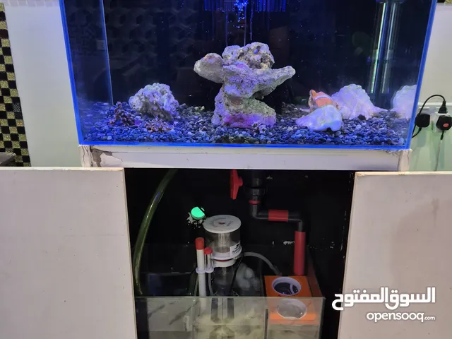 للبيع حوض سمك بحري