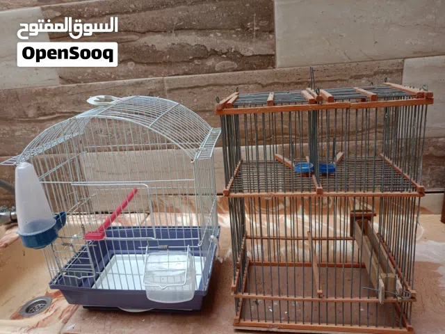 زوز قفاص مستعملات