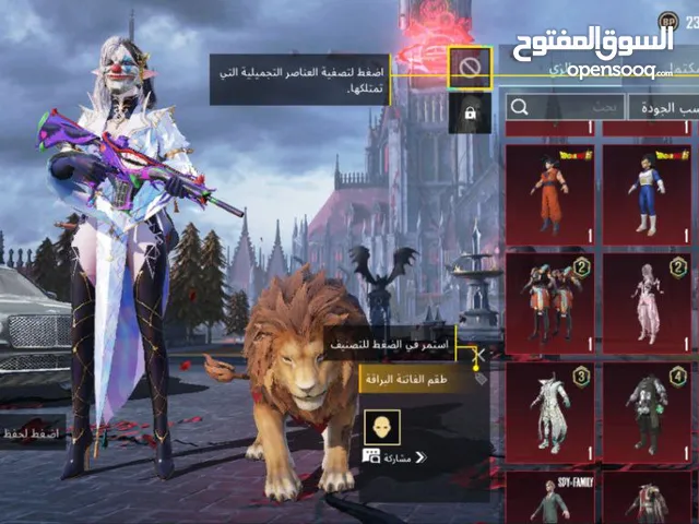 Pubg Accounts and Characters for Sale in Basra