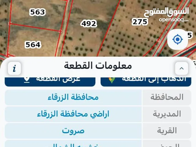 Farm Land for Sale in Zarqa Sarout
