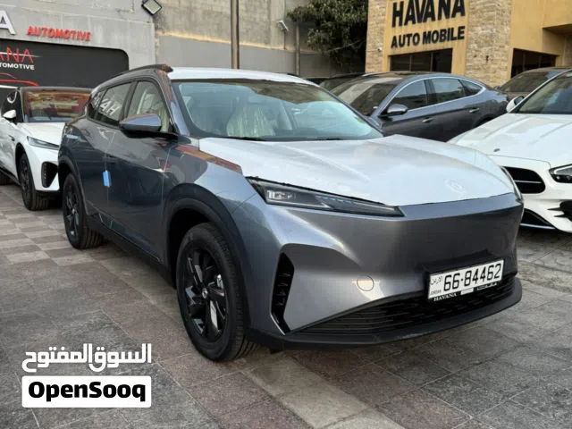 2027 دونج فينج ميج EV