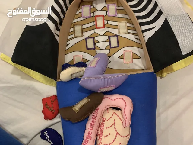 لعبة تعليمة  أعضاء واجهزة جسم الإنسان