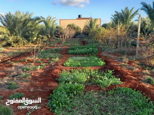 More than 6 bedrooms Farms for Sale in Benghazi Sidi Khalifa