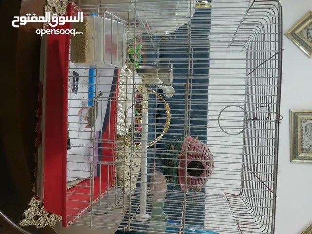 قفص طيور 3 معالف
