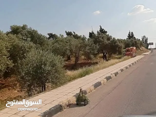 قطعة أرض استثمارية للبيع بسعر مغري من المالك مباشرة بأقل من سعرها الاداري والحقيقي بحوالي خمسين الف