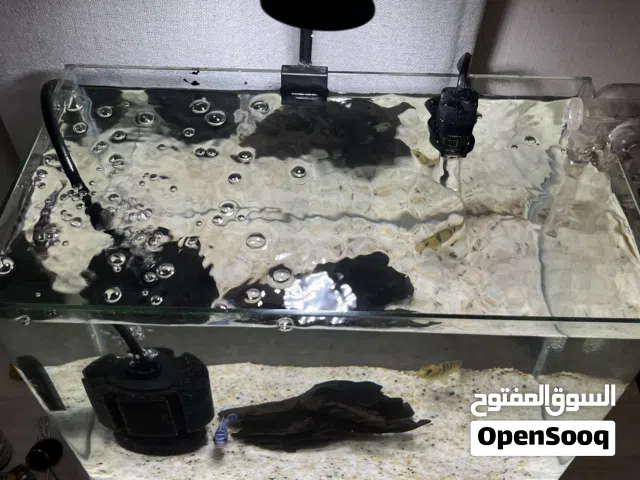 للبيع حوض سمك