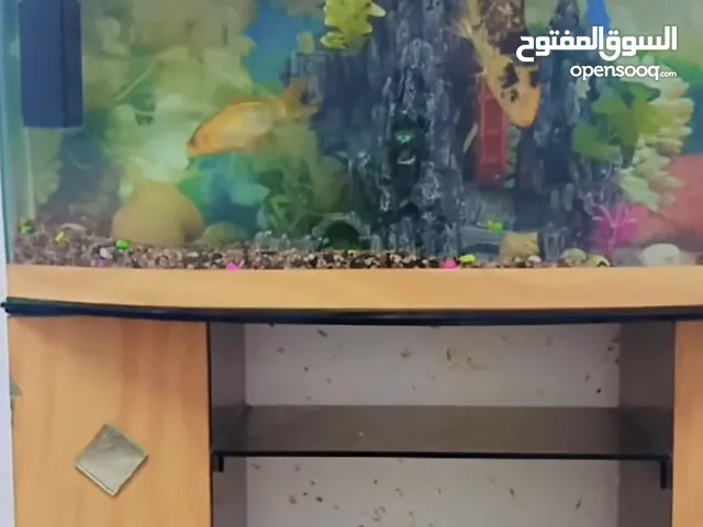 حوض سمك مع طاوله مع ماتور عدد 2