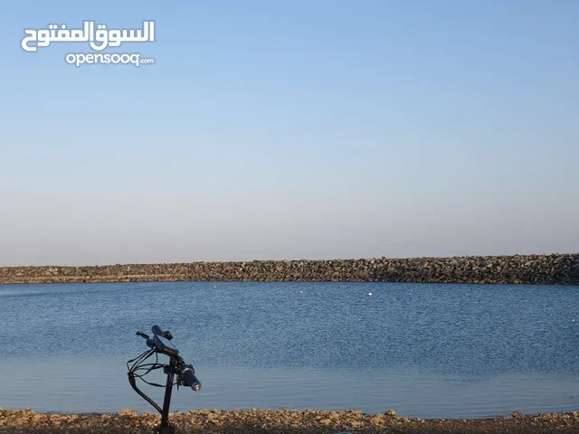 سكوتر كهربائي