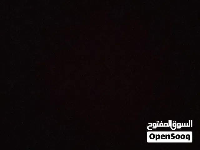 مطلوب قط تحت الخمس اشهر
