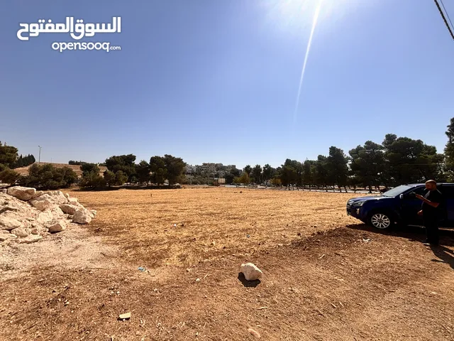 Residential Land for Sale in Amman Husban