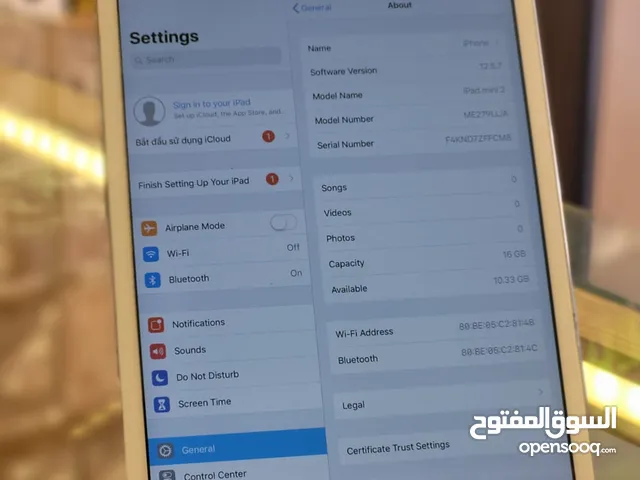 iPad Mini 2 WiFi 16GB ( Used )