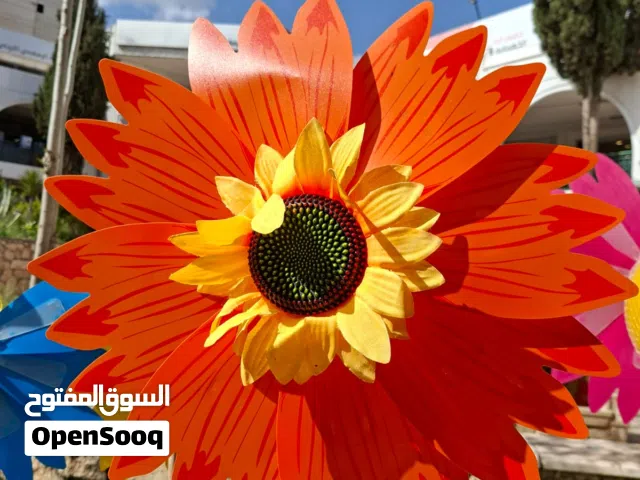 ورد جميل احجام والوان مناسبة للجميع