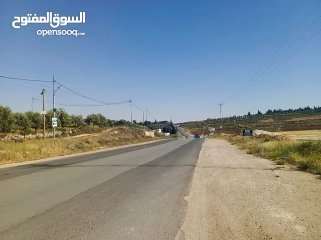 Residential Land for Sale in Amman Naour