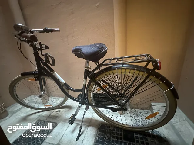 Royal Dutch Black 360 Bicycle