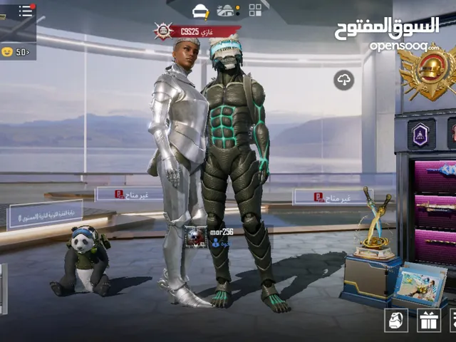 Pubg Accounts and Characters for Sale in Hebron