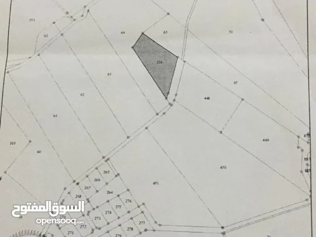 Mixed Use Land for Sale in Amman Marj El Hamam