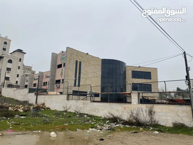 100 m2 2 Bedrooms Apartments for Rent in Ramallah and Al-Bireh Birzeit