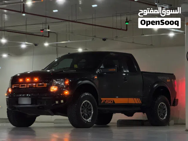 2010 Ford F-150 Raptor
