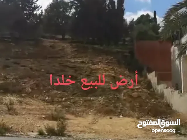 أرض مميزة للبيع لفيلا 1000م في أرقى مناطق عمان خلدا سكن أ خاص طابقين ورووف لقطة