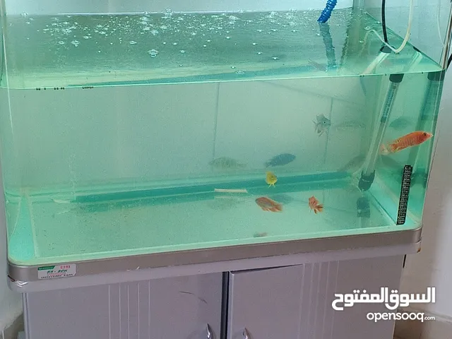 حوض سمك للبيع