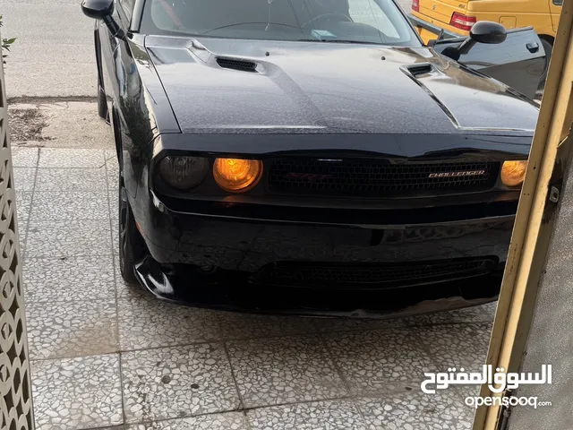 جالنجر 2014 v6 للبيع