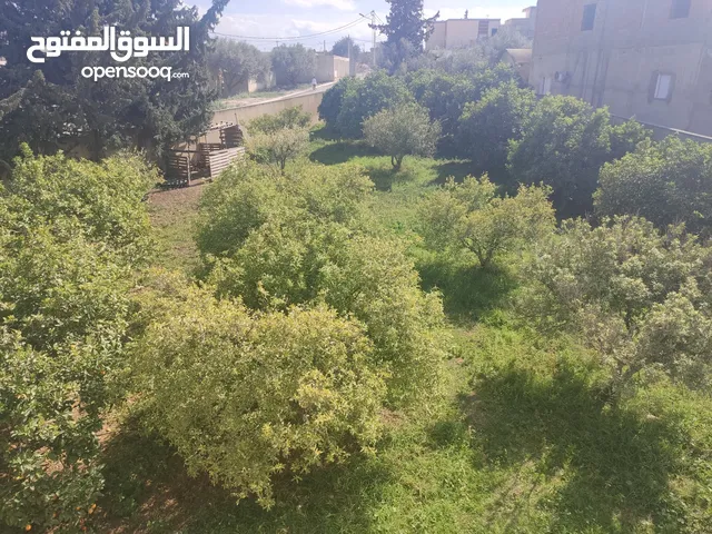 Mixed Use Land for Sale in Ben Arous Other