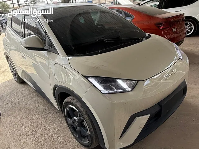 Used BYD Seagull in Irbid