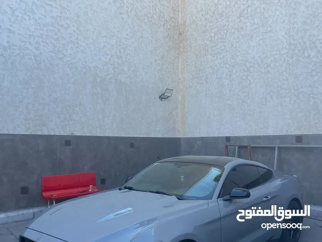 موستنج معدلة لون مميز للبيع بسعر مغري