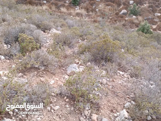 ارض للبيع اخر بيرزيت اول برها ع الشارع 750متر صالحه للبيناء