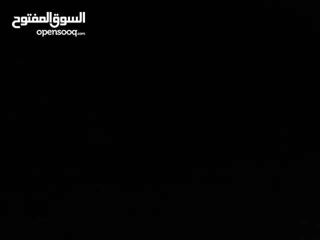 مطلوب دجاج لوهمان