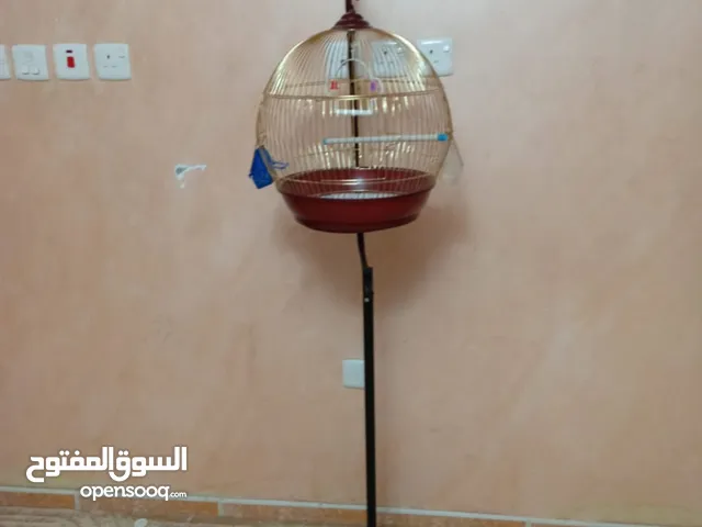 قفص نظيف للبيع