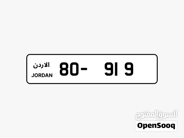 80 - 919 .