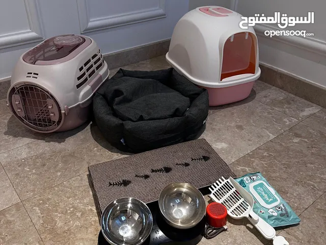 أدوات للقطط