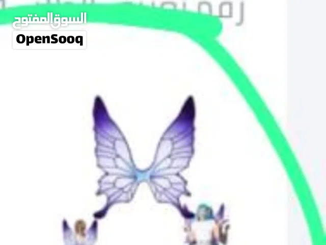 فراشات للاطفال