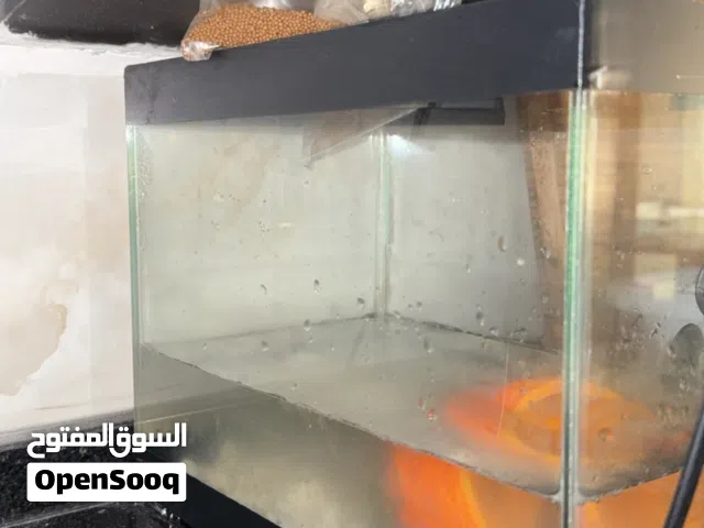حوض+ سمكة فايتر + اكل يكفي سنتين + هيتر