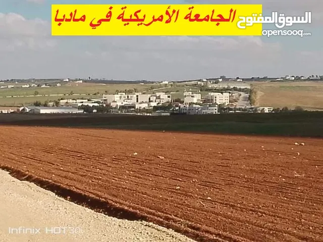 Farm Land for Sale in Madaba Mai'n