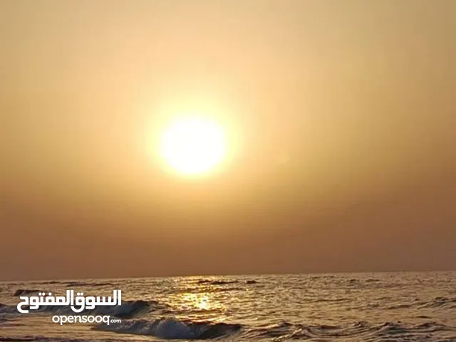 ماذونيه سائق خاص جاهزه