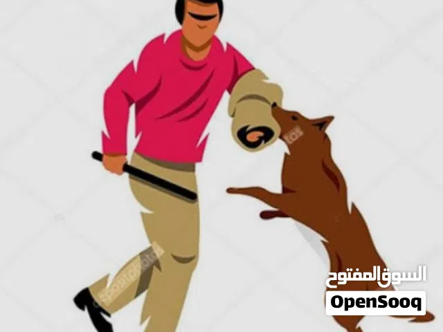 اكاديميه الكلب المثالي متخصصة في تدريب الكلاب