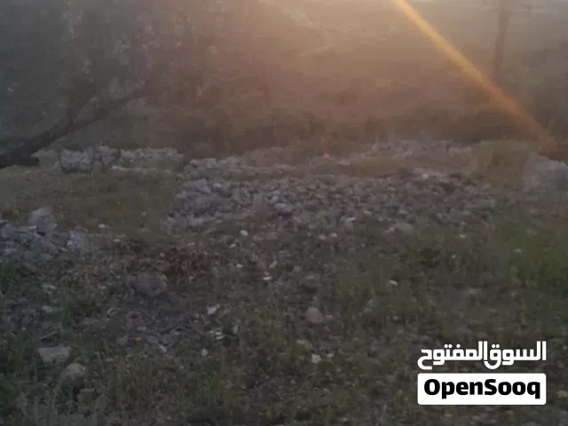 Mixed Use Land for Sale in Hebron Other
