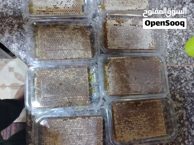 عسل نحل بلدي نخب وحبوب لقاح بلدي
