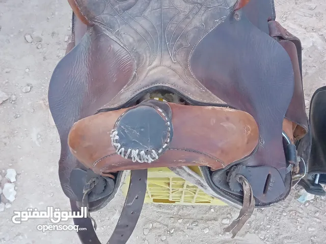 مطلوب خيل للبيع